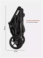 Коляска 3 в 1 Riko Basic Ozon 02 черно-зеленый 5901583376764