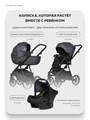 Коляска 3 в 1 Riko Basic Montana X Ecco 24 Graphite 5907729455560