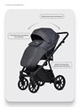 Коляска 3 в 1 Riko Basic Montana X Ecco 24 Graphite 5907729455560