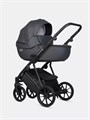 Коляска 3 в 1 Riko Basic Montana X Ecco 24 Graphite 5907729455560