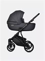 Коляска 3 в 1 Riko Basic Montana X Ecco 24 Graphite 5907729455560