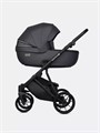 Коляска 3 в 1 Riko Basic Montana X Ecco 24 Graphite 5907729455560