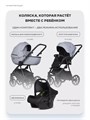Коляска 3 в 1 Riko Basic Montana X Ecco 23 Grey 5907729455553