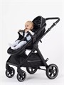 Коляска-трансформер Rant Basic Roller 2024 Black 4670078653345
