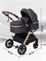 Коляска-трансформер Rant Basic Roller Gold 2024 Grey 4670078653369