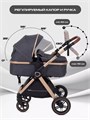 Коляска-трансформер Rant Basic Roller Gold 2024 Grey 4670078653369