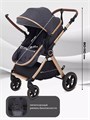 Коляска-трансформер Rant Basic Roller Gold 2024 Grey 4670078653369