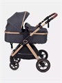 Коляска-трансформер Rant Basic Roller Gold 2024 Grey 4670078653369