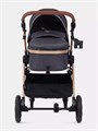 Коляска-трансформер Rant Basic Roller Gold 2024 Grey 4670078653369