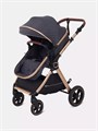 Коляска-трансформер Rant Basic Roller Gold 2024 Grey 4670078653369