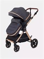 Коляска-трансформер Rant Basic Roller Gold 2024 Grey 4670078653369