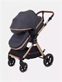 Коляска-трансформер Rant Basic Roller Gold 2024 Grey 4670078653369