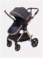 Коляска-трансформер Rant Basic Roller Gold 2024 Grey 4670078653369