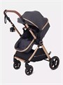 Коляска-трансформер Rant Basic Roller Gold 2024 Grey 4670078653369