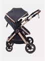 Коляска-трансформер Rant Basic Roller Gold 2024 Grey 4670078653369