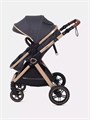 Коляска-трансформер Rant Basic Roller Gold 2024 Grey 4670078653369