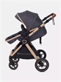 Коляска-трансформер Rant Basic Roller Gold 2024 Grey 4670078653369