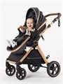 Коляска-трансформер Rant Basic Roller Gold 2024 Grey 4670078653369