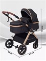 Коляска-трансформер Rant Basic Roller Gold 2024 Black 4670078653376