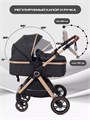 Коляска-трансформер Rant Basic Roller Gold 2024 Black 4670078653376