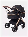 Коляска-трансформер Rant Basic Roller Gold 2024 Black 4670078653376