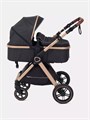 Коляска-трансформер Rant Basic Roller Gold 2024 Black 4670078653376