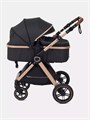 Коляска-трансформер Rant Basic Roller Gold 2024 Black 4670078653376