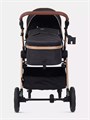 Коляска-трансформер Rant Basic Roller Gold 2024 Black 4670078653376