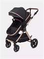 Коляска-трансформер Rant Basic Roller Gold 2024 Black 4670078653376