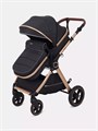Коляска-трансформер Rant Basic Roller Gold 2024 Black 4670078653376