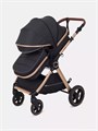Коляска-трансформер Rant Basic Roller Gold 2024 Black 4670078653376
