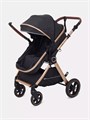 Коляска-трансформер Rant Basic Roller Gold 2024 Black 4670078653376