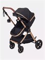 Коляска-трансформер Rant Basic Roller Gold 2024 Black 4670078653376