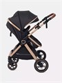 Коляска-трансформер Rant Basic Roller Gold 2024 Black 4670078653376