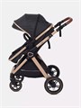 Коляска-трансформер Rant Basic Roller Gold 2024 Black 4670078653376