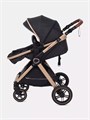 Коляска-трансформер Rant Basic Roller Gold 2024 Black 4670078653376