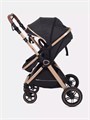 Коляска-трансформер Rant Basic Roller Gold 2024 Black 4670078653376