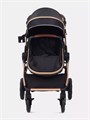 Коляска-трансформер Rant Basic Roller Gold 2024 Black 4670078653376