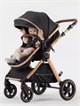 Коляска-трансформер Rant Basic Roller Gold 2024 Black 4670078653376