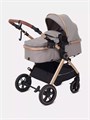 Коляска-трансформер Rant Basic Roller Gold 2024 Beige 4670078653383