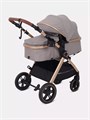 Коляска-трансформер Rant Basic Roller Gold 2024 Beige 4670078653383