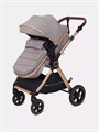 Коляска-трансформер Rant Basic Roller Gold 2024 Beige 4670078653383