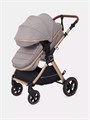 Коляска-трансформер Rant Basic Roller Gold 2024 Beige 4670078653383