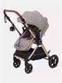 Коляска-трансформер Rant Basic Roller Gold 2024 Beige 4670078653383