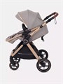 Коляска-трансформер Rant Basic Roller Gold 2024 Beige 4670078653383