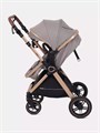 Коляска-трансформер Rant Basic Roller Gold 2024 Beige 4670078653383