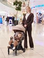 Коляска прогулочная Mowbaby Atom Beige 4670078638908