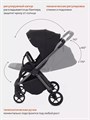 Коляска прогулочная Rant Golf Black 4670078642776