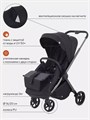 Коляска прогулочная Rant Golf Black 4670078642776