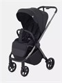 Коляска прогулочная Rant Golf Black 4670078642776